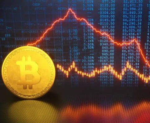 Signal Flomax Hub - Take Charge of Your Trading with Signal Flomax Hub
